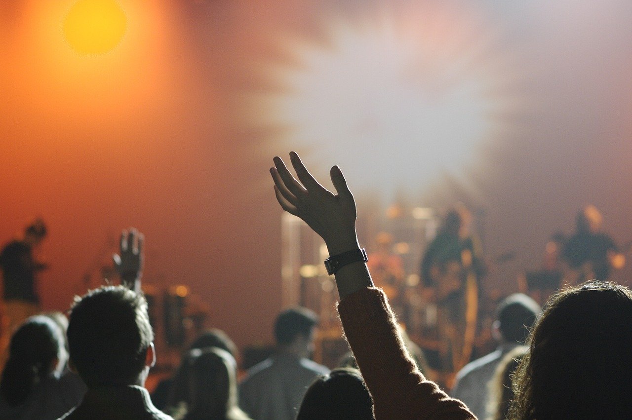 audience, concert, music